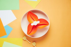 Miska dla psa Spin Flower