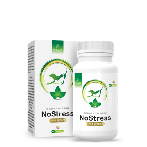 NO-STRESS.png