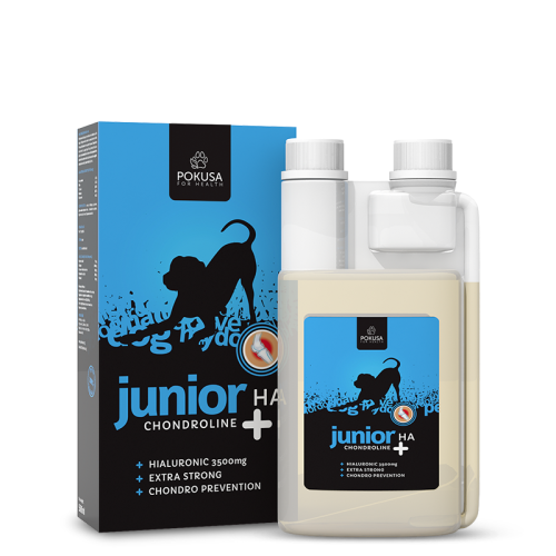 CHONDROLINE-JUNIOR-PETS-PLANET-BYDGOSZCZ-POKUSA.png