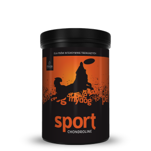 ChondrolineSport 350g