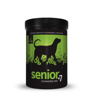 Chondroline Senior 350gr