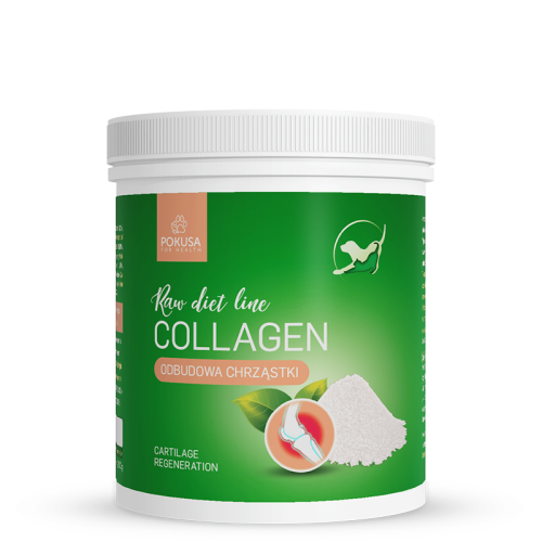 rawdietline-kolagen-collagen.jpg