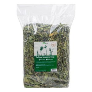 Tivo Babka Szerokolistna XXL 400g